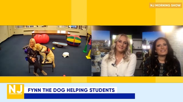 Fynn the Dog Helping Special Needs Students