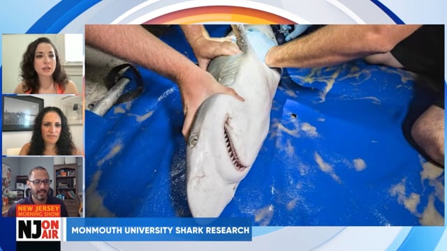 Monmouth University Shark Research